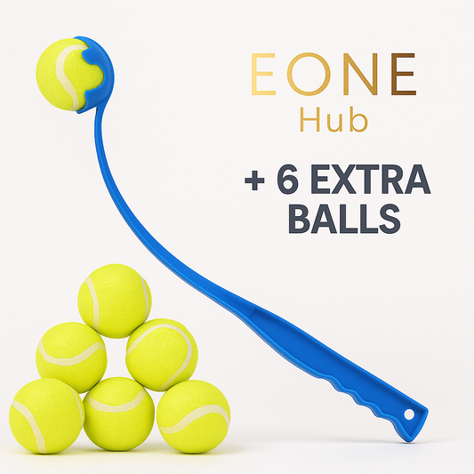 Interactive Dog Ball Launcher with 6 Durable Balls – Outdoor Fetch Toy for Pets